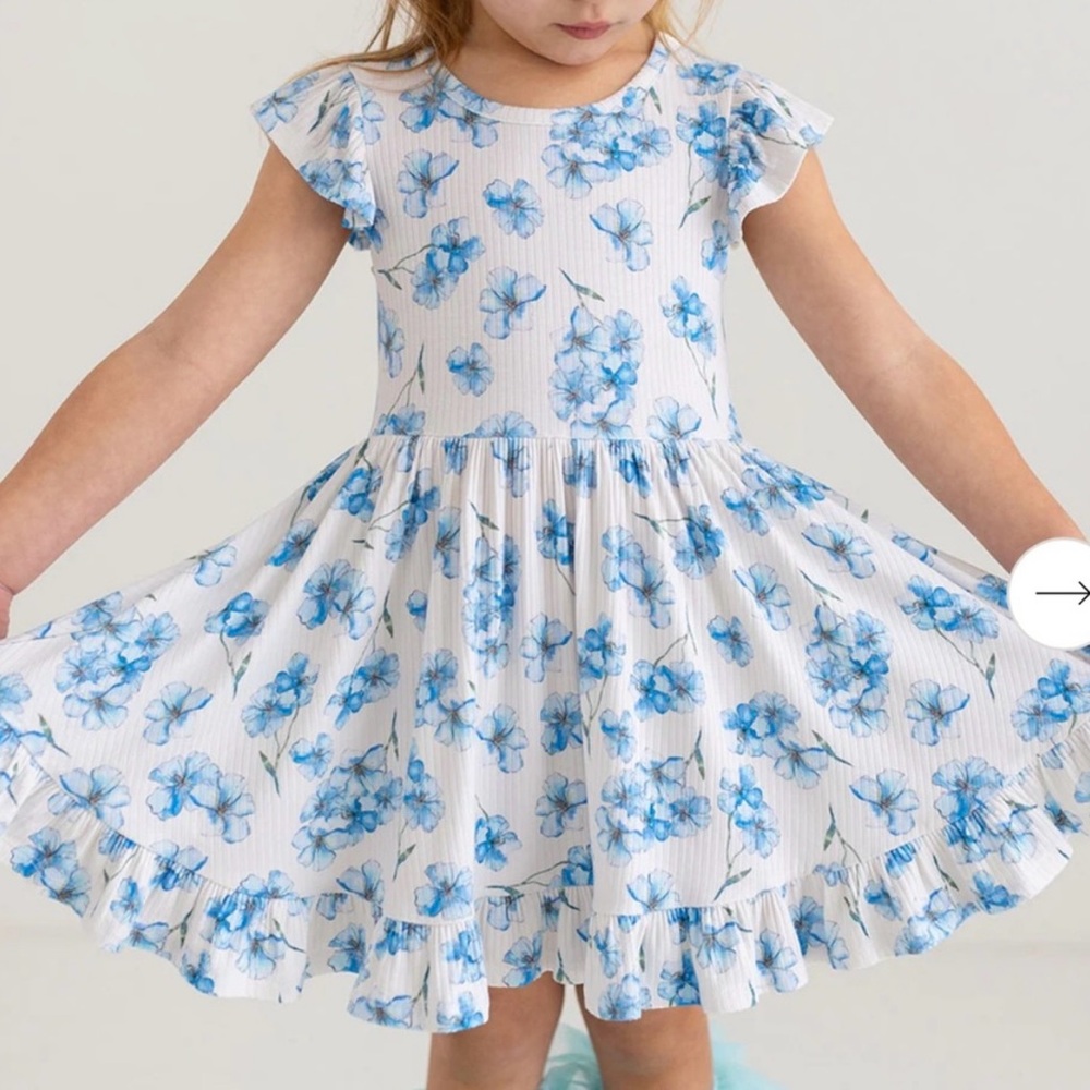 Posh Peanut Everly Joy Ruffled Twirl Dress (3T - 4T) Limited Edition